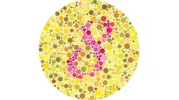 Color Blind Test: Image 1