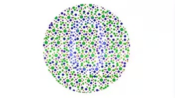 Color Blind Test: Image 10