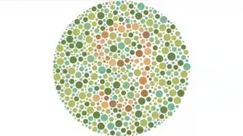 Color Blind Test: Image 2