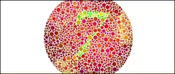 Color Blind Test: Image 3