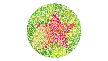 Color Blind Test: Image 4