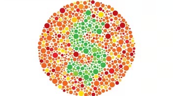 Color Blind Test: Image 5