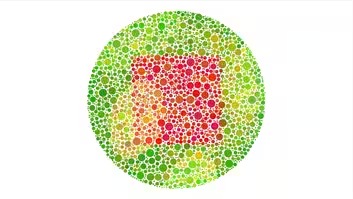 Color Blind Test: Image 8