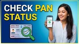 Check Pan Satus